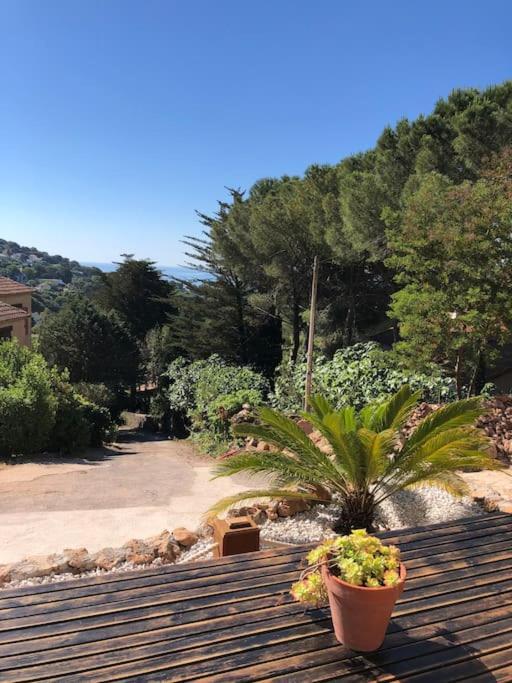 Maison St Clair Vue Mer Sète Zewnętrze zdjęcie